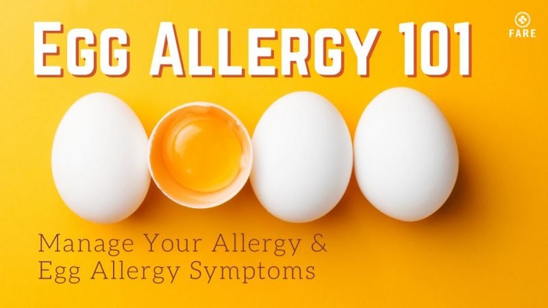 Symptoms of Egg Allergy, Causes & Treatments