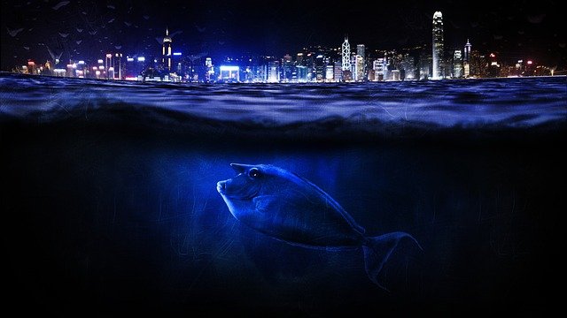 Find The Best Platform For The High-Quality Underwater Lights To Attract More Fish And Make The Place Beautiful