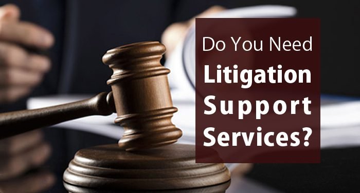 What are litigation services?