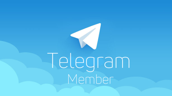 Buy Telegram Members Fast & Instant