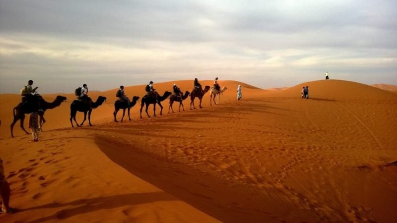Do You Know About Desert Safari In Dubai?