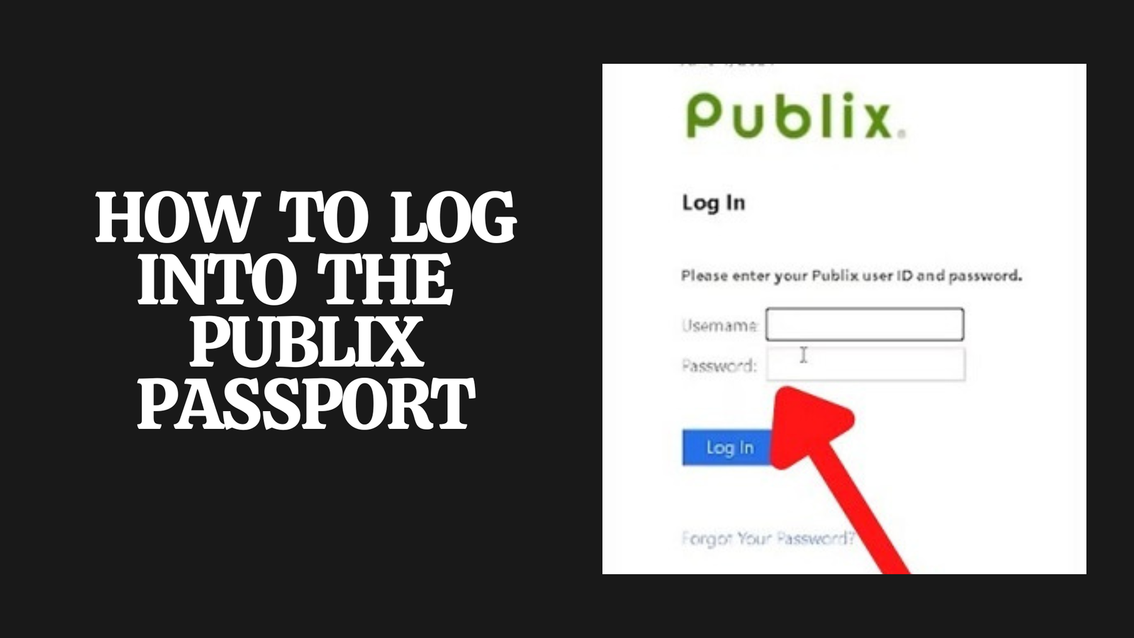 How to Log into the Publix Passport?