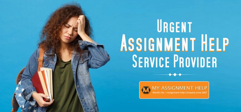 8 Essential Tips to Ace history assignment help