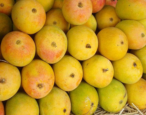 Alphonso Mangoes: The King of Fruits