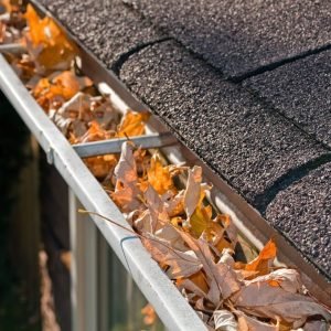 The Role of Gutters in Roof Protection: Cleaning and Maintenance